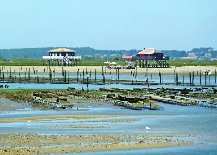 Les Pieds Dans L'eau By Interhome Lejlighed Arcachon